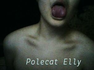 Polecat_Elly