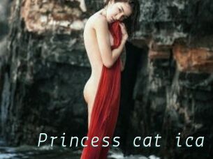 Princess_cat_ica