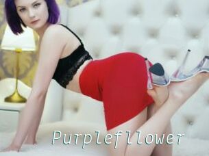 Purplefllower