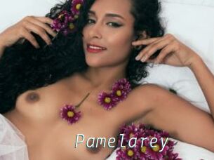 Pamelarey