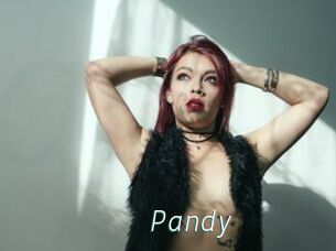 Pandy