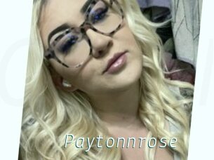 Paytonnrose