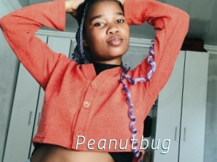 Peanutbug