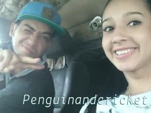 Penguinandcricket