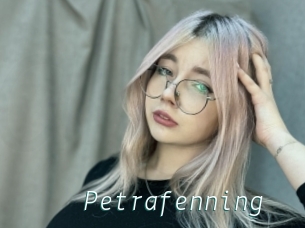 Petrafenning