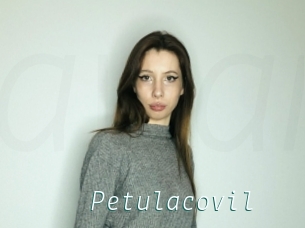 Petulacovil