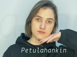 Petulahankin