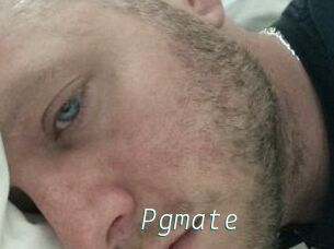 Pgmate