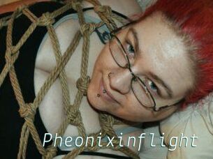 Pheonixinflight