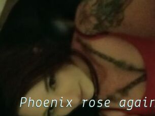 Phoenix_rose_again