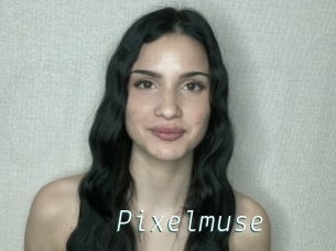 Pixelmuse