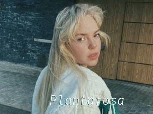 Plantarosa