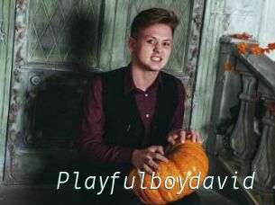 Playfulboydavid