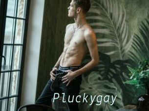 Pluckygay