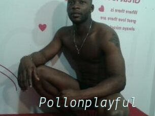 Pollonplayful