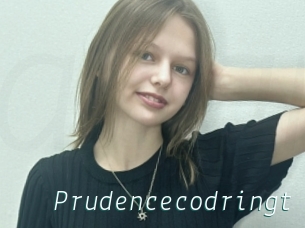 Prudencecodringt