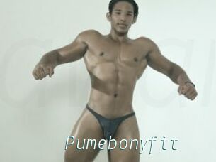 Pumebonyfit