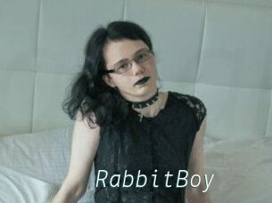 RabbitBoy