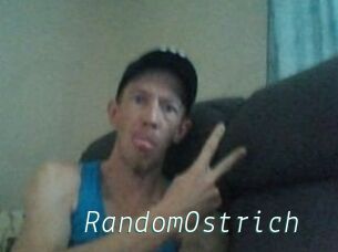 RandomOstrich