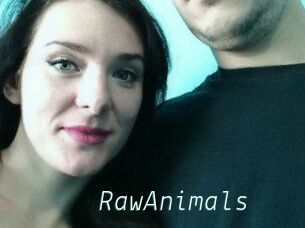 RawAnimals