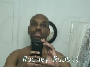 Rodney_Rabbit