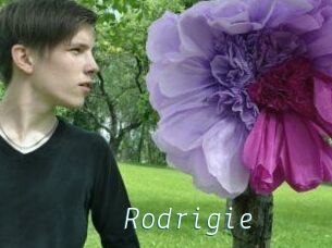 Rodrigie