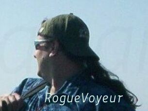 RogueVoyeur