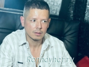 Ranndyharry