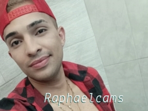 Raphaelcams