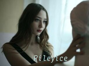 Rileyice