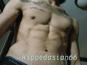 Rippedasian66