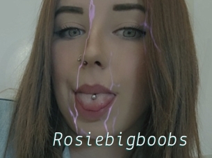 Rosiebigboobs