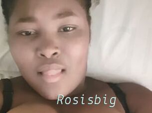 Rosisbig