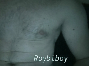 Roybiboy