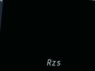 Rzs