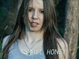 SMALL_HONEY