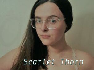 Scarlet_Thorn