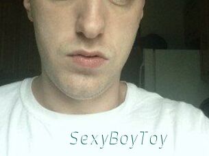 SexyBoyToy