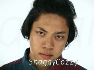 ShaggyCozzy