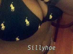 Sillyhoe