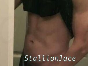 StallionJace