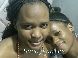 Sandycanice