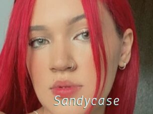 Sandycase