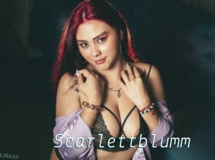 Scarlettblumm