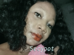 Secypot