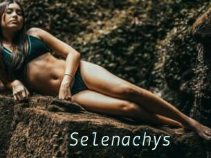 Selenachys