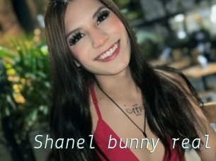 Shanel_bunny_real