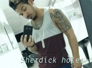 Sherdick_holes