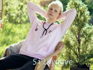 Silkydave