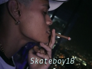 Skateboy18